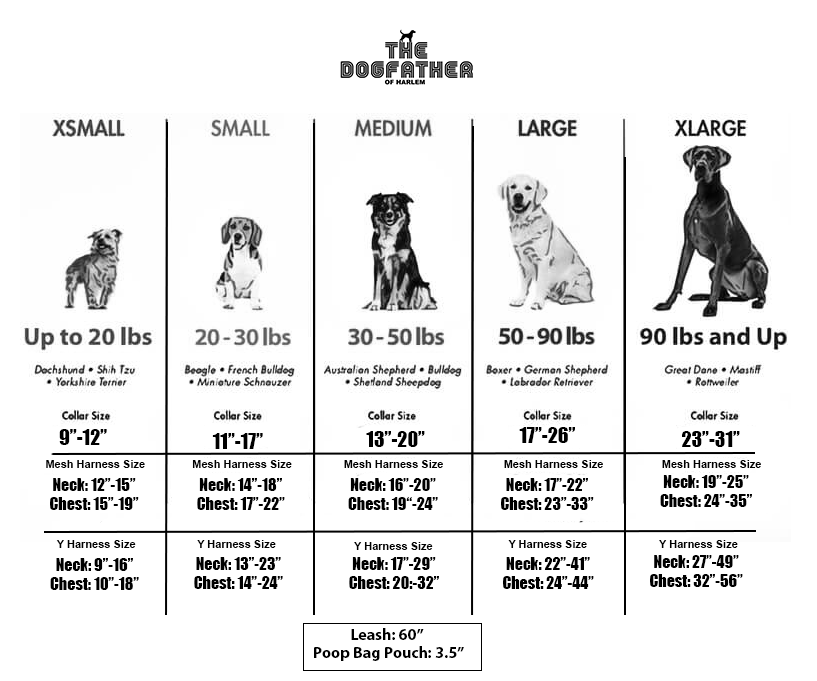 1. Basic Walk Package (Choice of Harness)